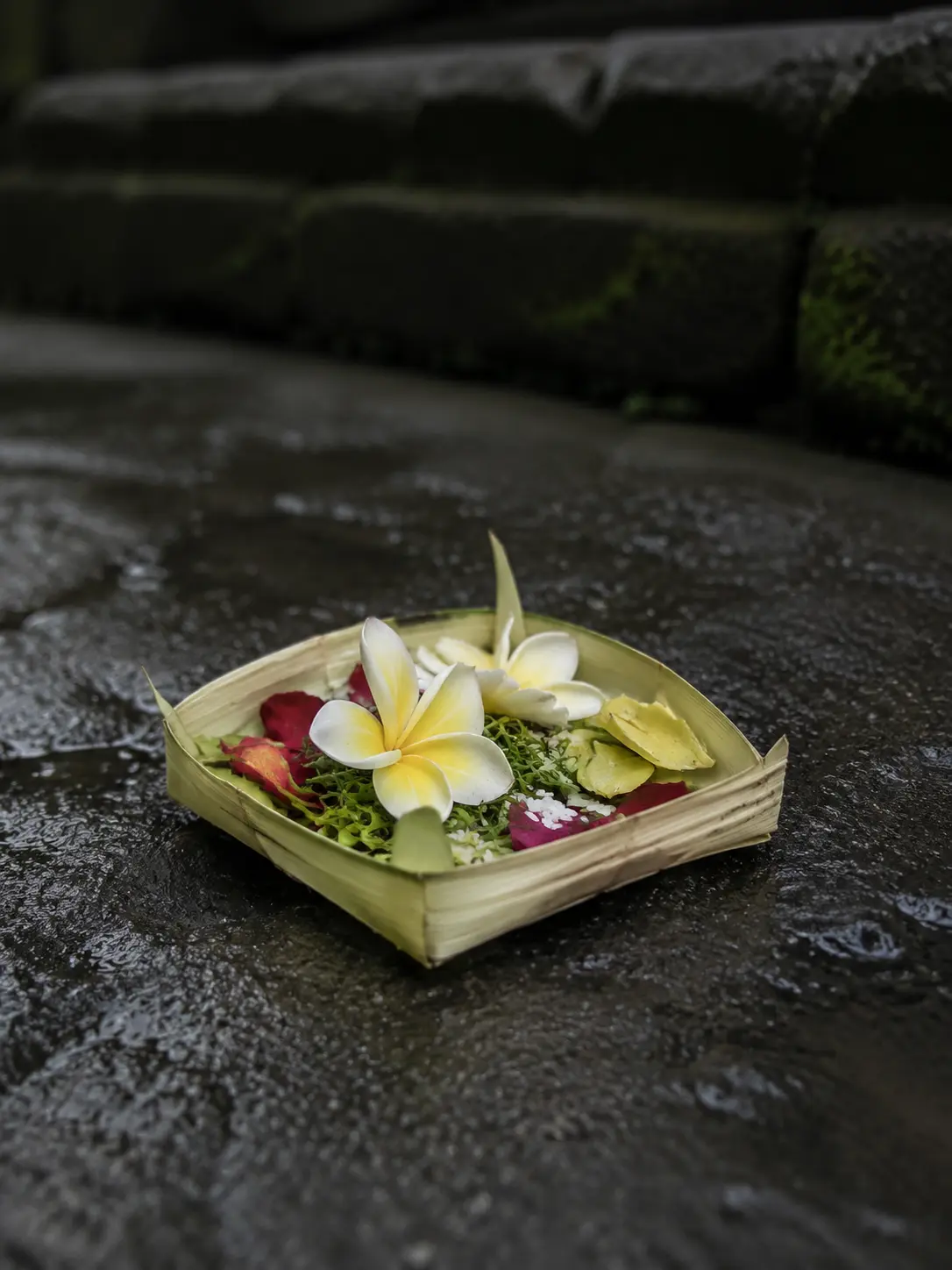 色彩明亮的 Canang Sari 供奉